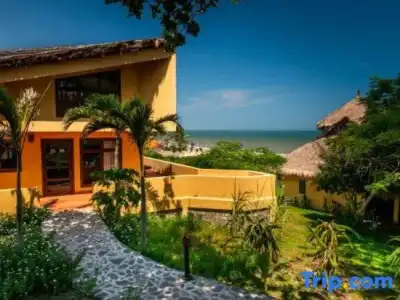 White Sand Resort - 99