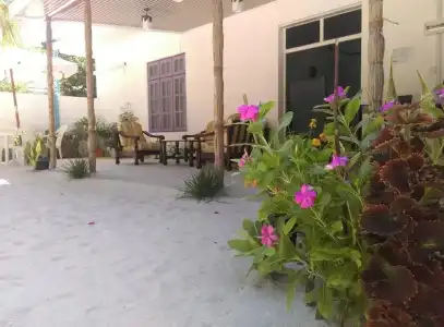 Palm Garden - 12