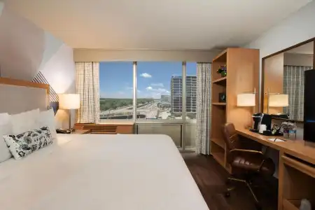 Mockingbird, Dallas, a Tribute Portfolio - 6