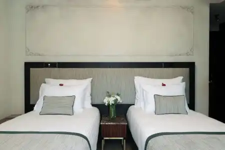 Tria Elegance - 35