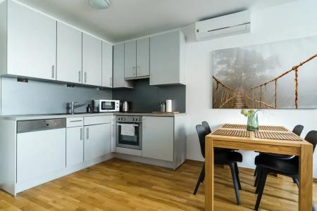 Business & Family Ambiente Apartments - 118