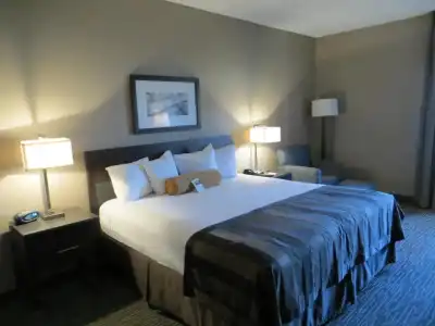 Hampton Inn by Hilton Los Angeles Airport - 47