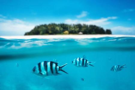Next Paradise Boutique Resort - 24