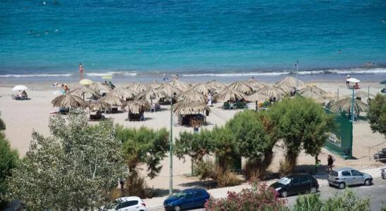 Elegant Beach - 16