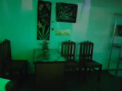 Green House - 20