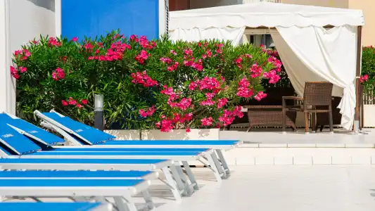 Losanna Gabicce Mare - 42