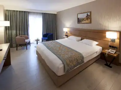 Mirel Otel - 2