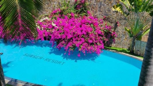 Sunsea Resort - 114