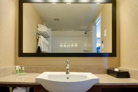 Best Western Plus Suites Downtown - 67
