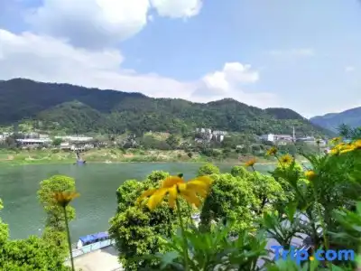 Wuyu (Chongqing Jinyun Mountain, Southwest University) - 60