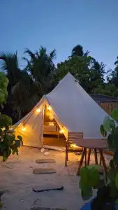 The Maverick Surf and Dive Boutique - 25