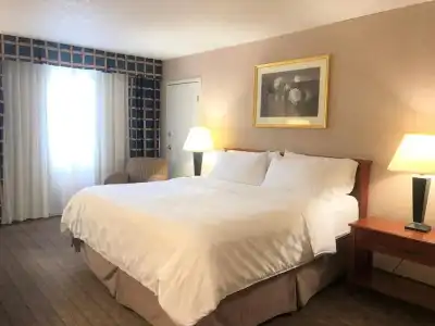 Holiday Inn Laval Montréal by IHG - 35