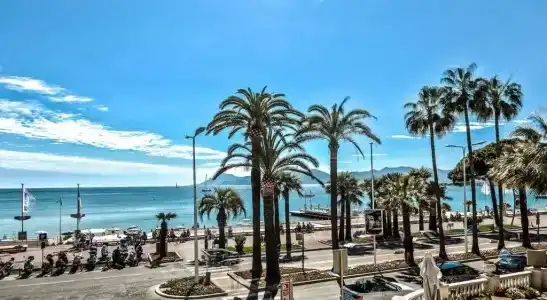 Hôtel Bleu Rivage - 10