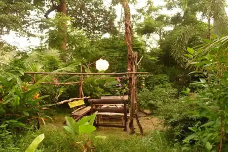Jungle Garden - 9