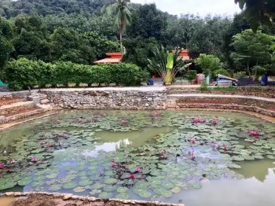 Sichon Resort - 6