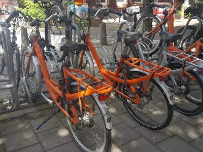 Van Gogh - 13