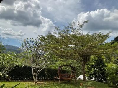 Khao Sok Hill Top Resort - 25