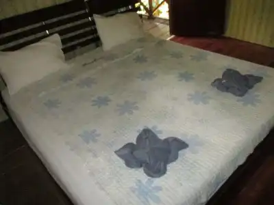 Khao Sok Island Resort and Spa - 1