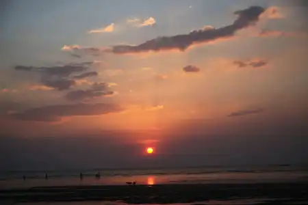 Samanea Beach Resort & Spa - 22