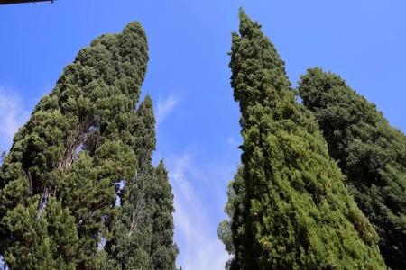 Agriturismo Villa Guarnaschelli - 1