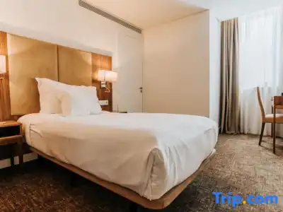 Premium Porto Downtown - 37