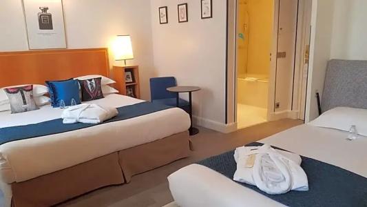 Hôtel L'Ormaie & Spa - 71