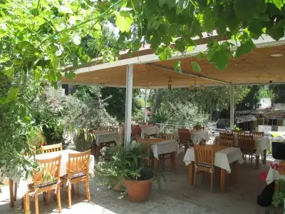 Eucalyptus Pension - 8