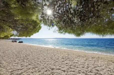 Bluesun Alga - 12