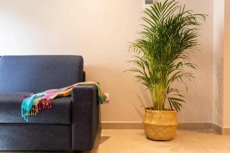 Ramirez Flats Valencia - 18