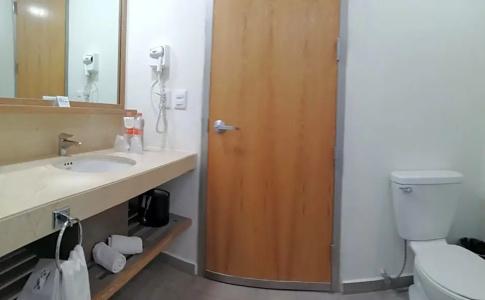 Holiday Inn Express Mexico Reforma by IHG - 95