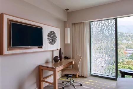 Marriott Port-au-Prince - 50