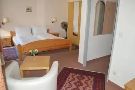 Pension Walzerstadt - 43