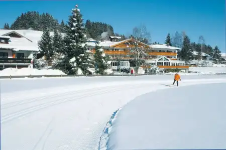 Sonnenbichl am Rotfischbach - 11