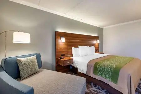 Comfort Inn Anaheim Resort - 51