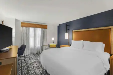 Hampton Inn & Suites Austin Downtown - 4