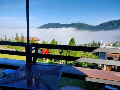Khao Kho Tree Top - 51