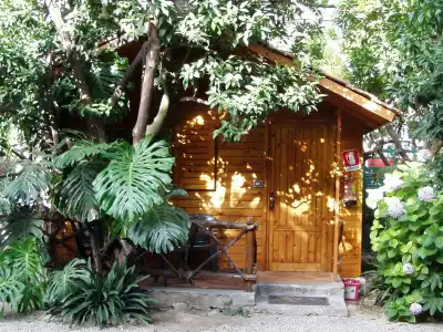 Villaggio Verde - 38