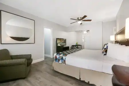Hollywood Beachs - 65