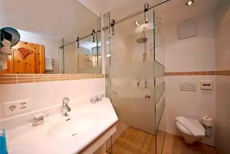 Hôtel des Alpes - 7