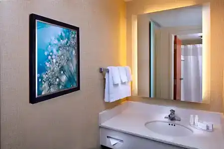 SpringHill Suites by Marriott Orlando Lake Buena Vista in the Marriott Village - 10
