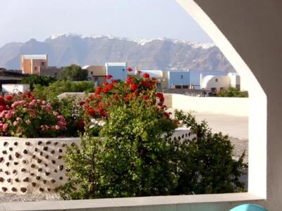 Thira's Dolphin - 41