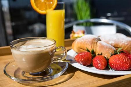 Business Plovdiv - Central Location - 78