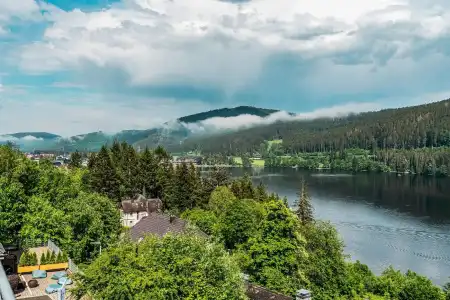 Nature Titisee - 9