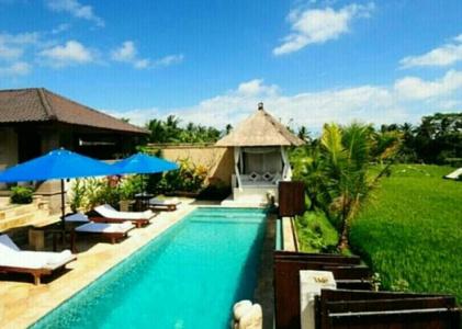 Ubud Aura Wellness Sanctuary - 8