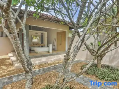 The Frangipani Tree by Edwards Collection - 55