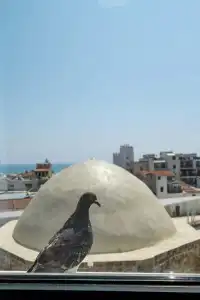 Livadhiotis City - 14