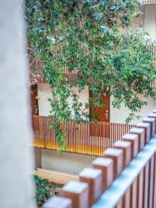 Canyamel Park & Spa - Adults Only - 97