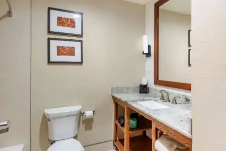 Comfort Suites University - 39