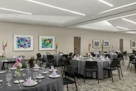 The Art Denver, Curio Collection by Hilton - 38