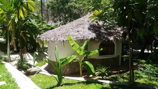 Flower Power Village - 370
